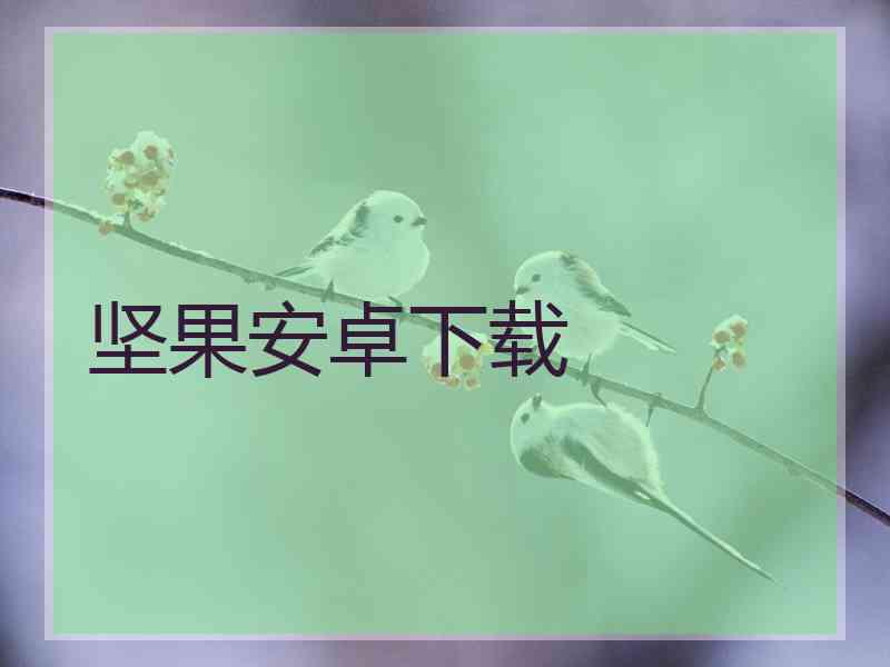 坚果安卓下载